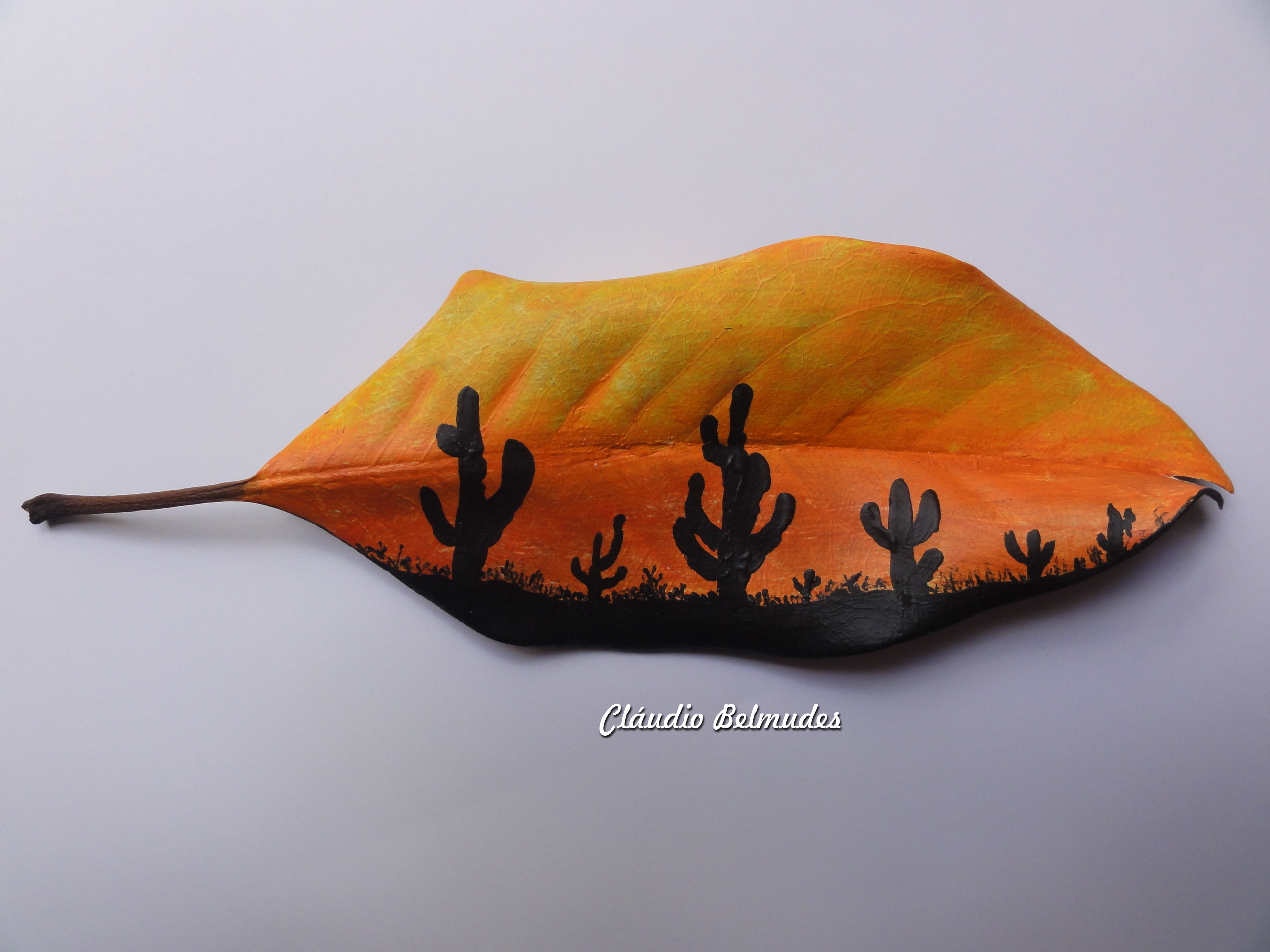 Caatinga