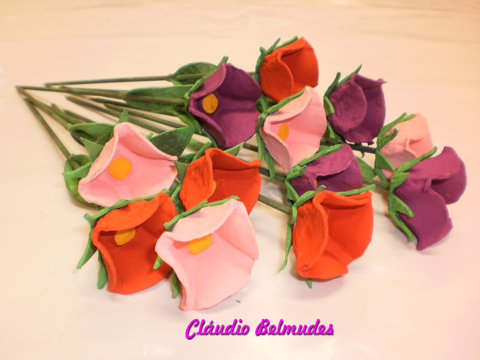Tulipas