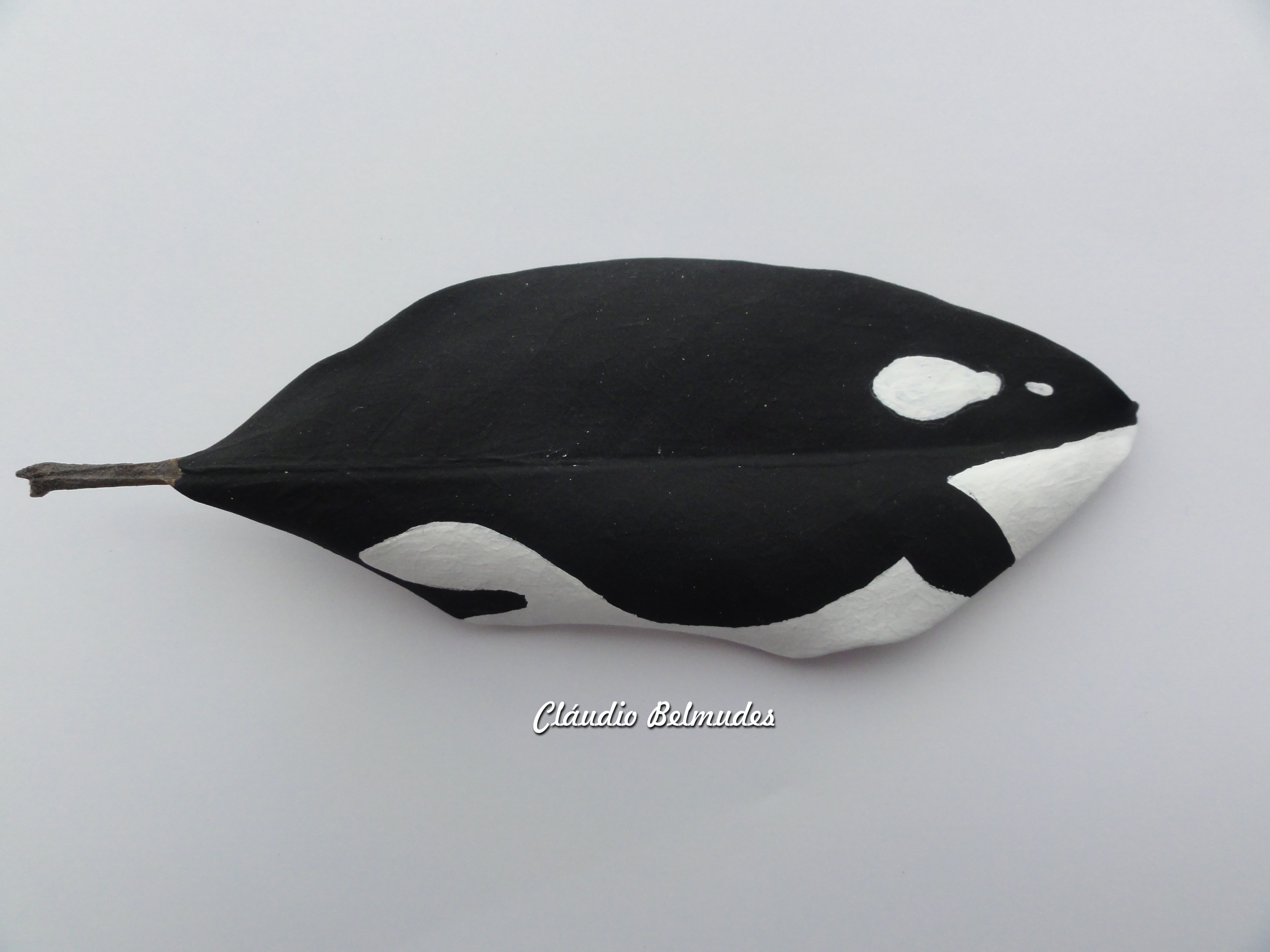 Orca