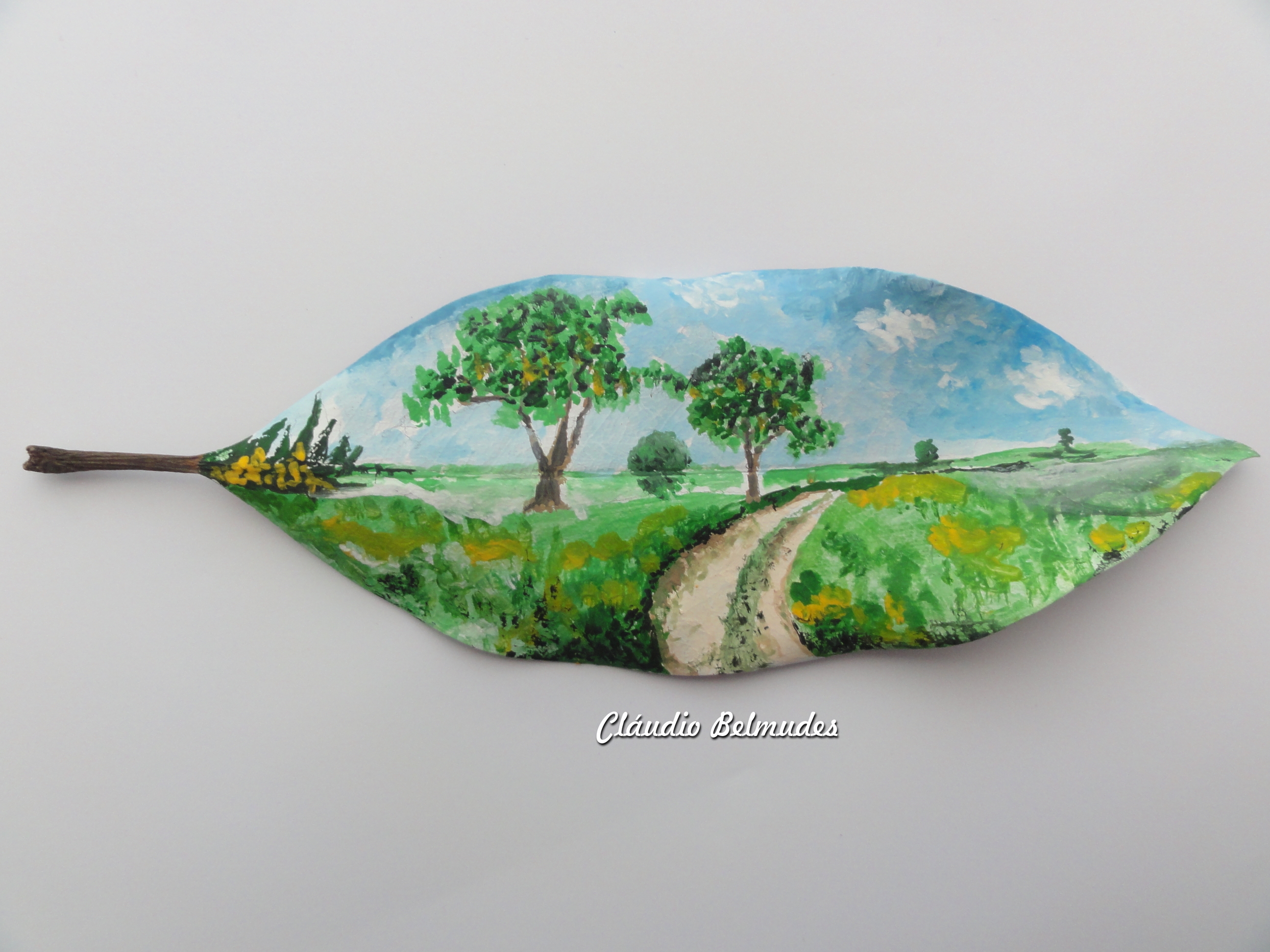 Paisagem - A estrada