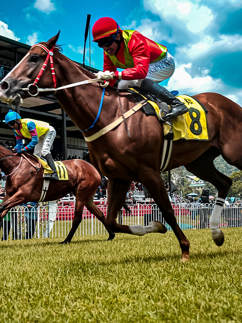 Horse Racing (1).png