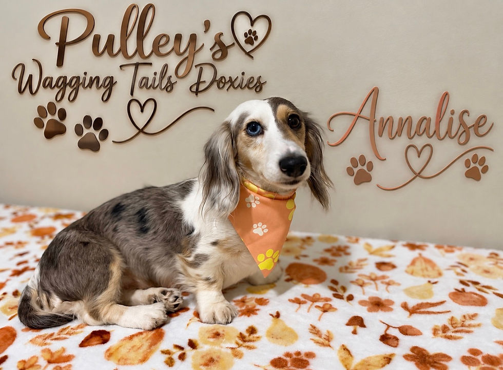 Getting ready for fall Annalise