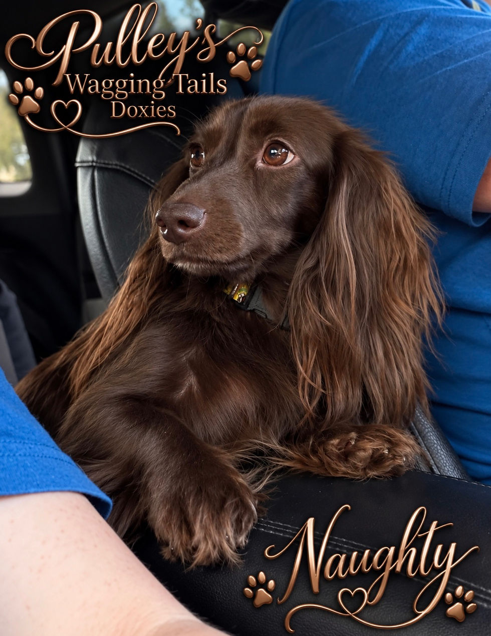 Naughty is showing off