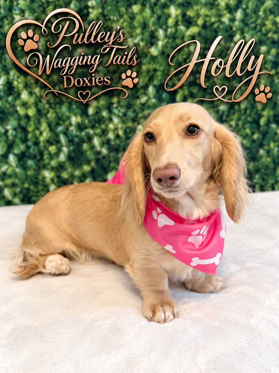 Holly loves the tropical life