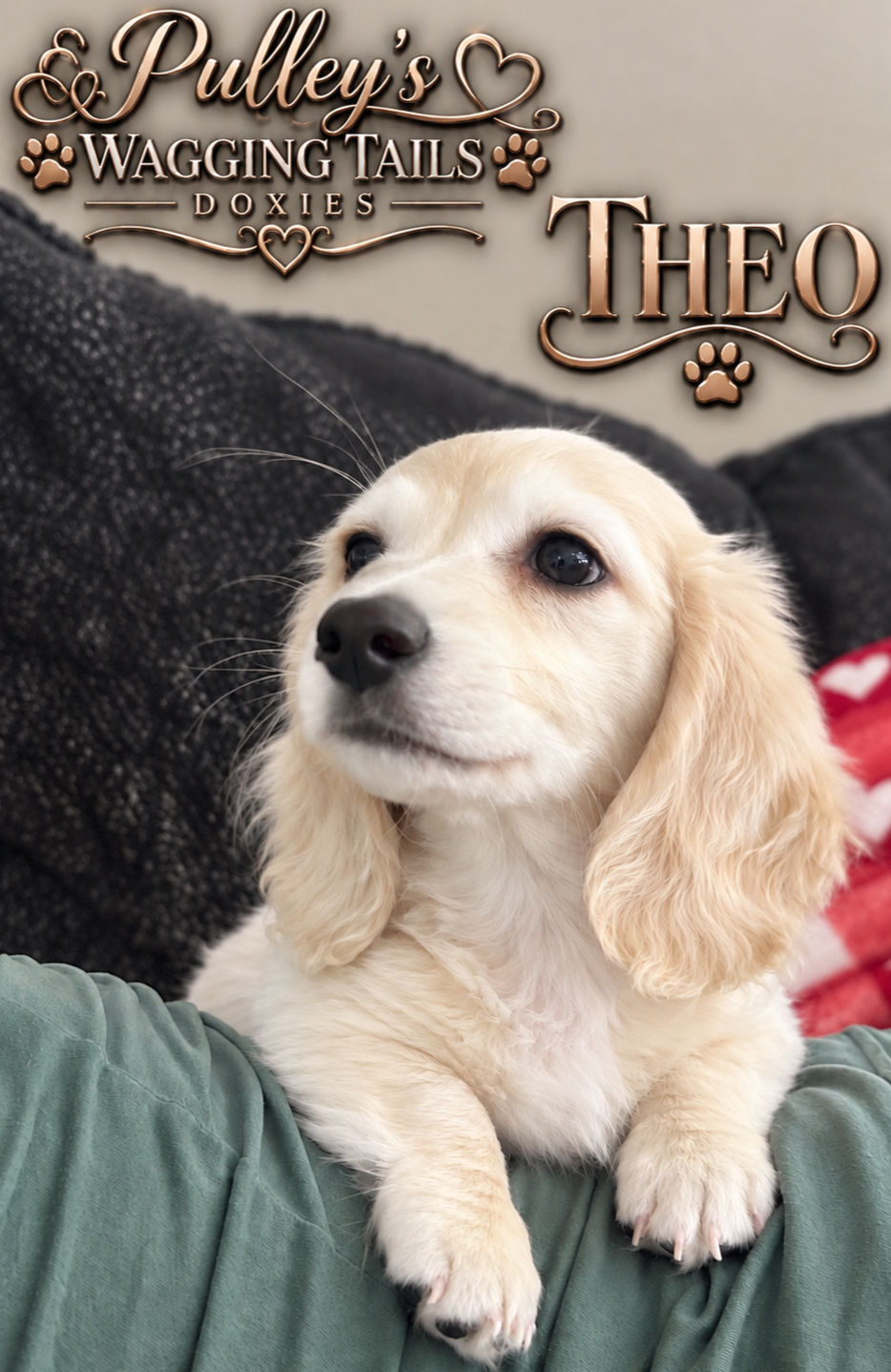 Theo loves the camera