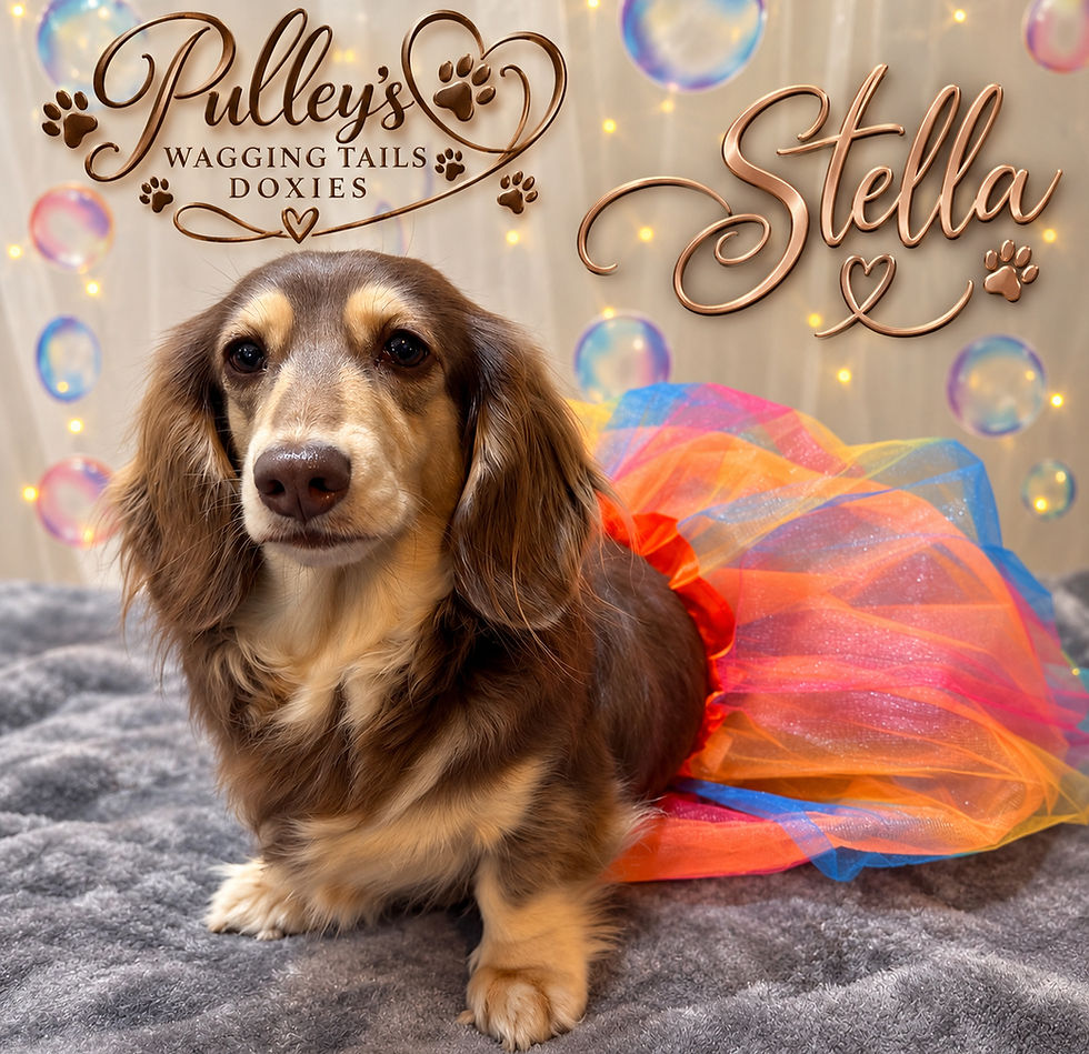 Stella loves her prom dress