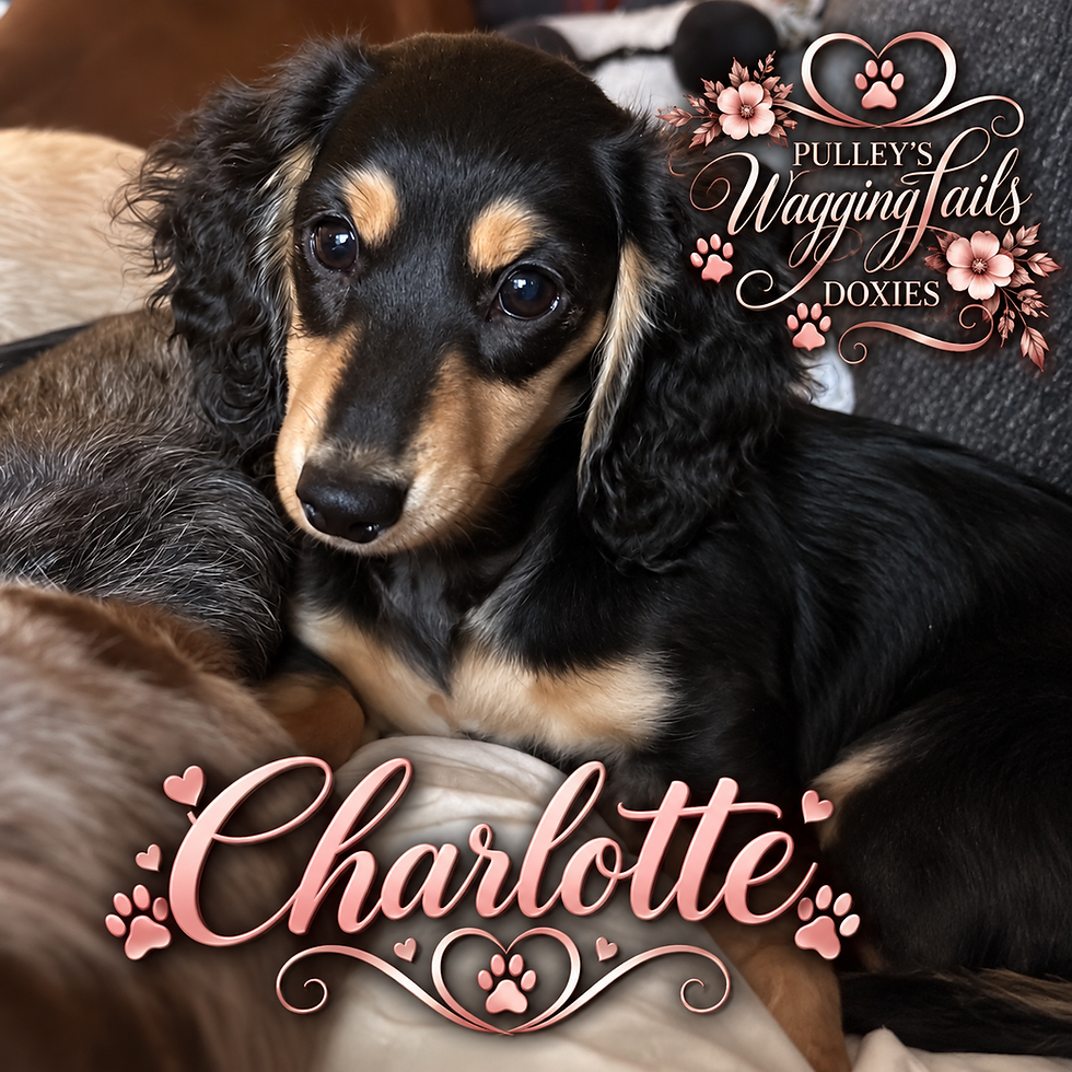 Baby Charlotte