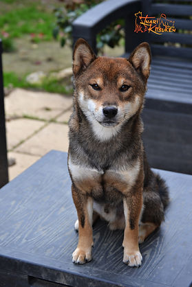 DSC_0031.JPG