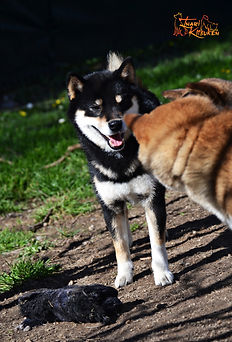 DSC_0005.JPG