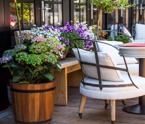 Gemütliche Terrasse mit üppiger Bepflanzung und stilvollen Sitzmöbeln – harmonische Verbindung von Natur und urbanem Wohngefühl.