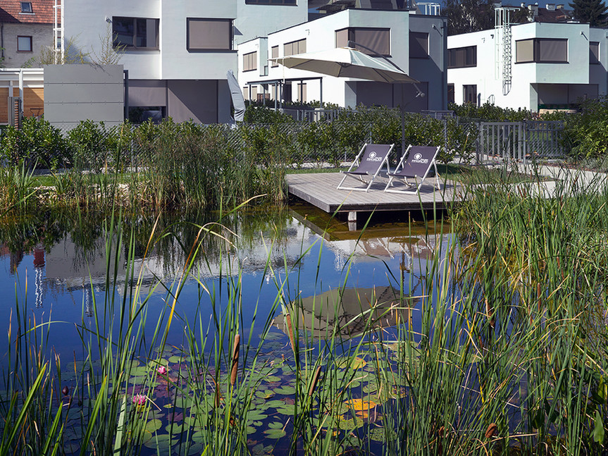 Naturteich der Ville Verde Wohnanlage mit Seerosen und moderner Architektur im Hintergrund.