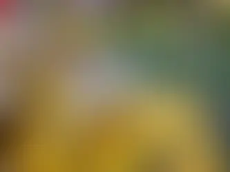 Havasupai Uranium Mine Protest: Environmental, Spiritual, and Health Concerns