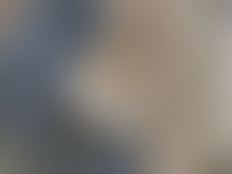 A Battle of the Brews. 🍵