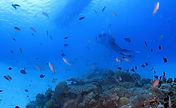 写真 2019-03-24 11 02 38.jpg