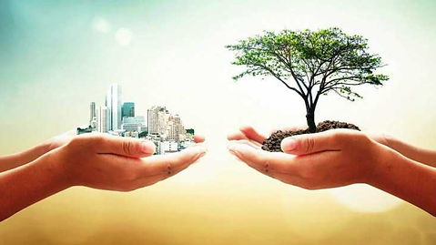 Only sao paulo - sustentabilidade
