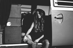 WILL & BEAR + HIRE KOMBI