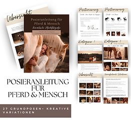 Ebook mockup.png