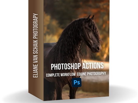 Van RAW tot perfecte paardenfoto: werken met Photoshop Actions in een logische workflow