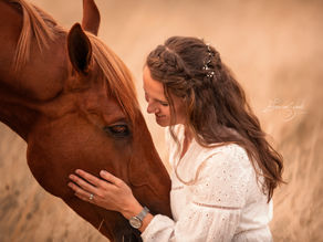 5 Lightroom-tips die elke paardenfotograaf moet kennen