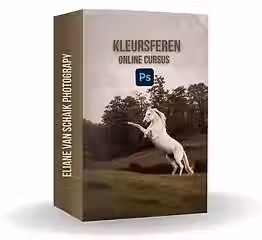 Kopie van 10 Software Boxes Mockups by SCD (2000 x 2000 px)-6.png.avif