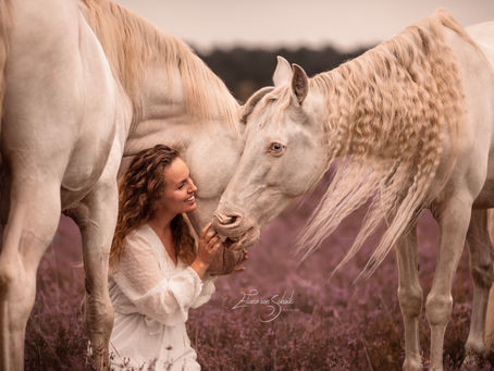 De magie van kleur: hoe je de paarse heide nóg sterker laat spreken in je foto’s