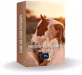 Kopie van 10 Software Boxes Mockups by SCD (2000 x 2000 px)-8.png.avif