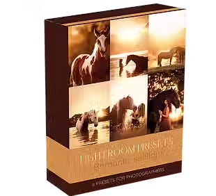 sunlight lightroom presets box-06.png.avif