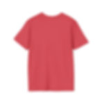 Thumbnail: TP Simple and Clean Unisex Softstyle T-Shirt