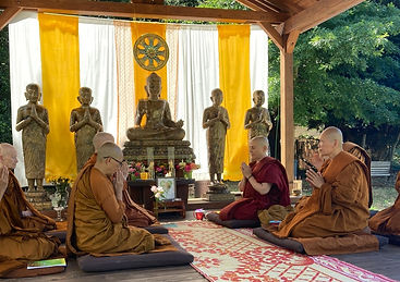 Bhikkhunī Pātimokkha Uddesanā Dhammadarini.jpeg