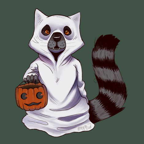 Ghost-Raccoon