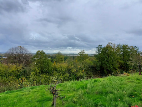Paysage sur les coteaux de l'Hautil