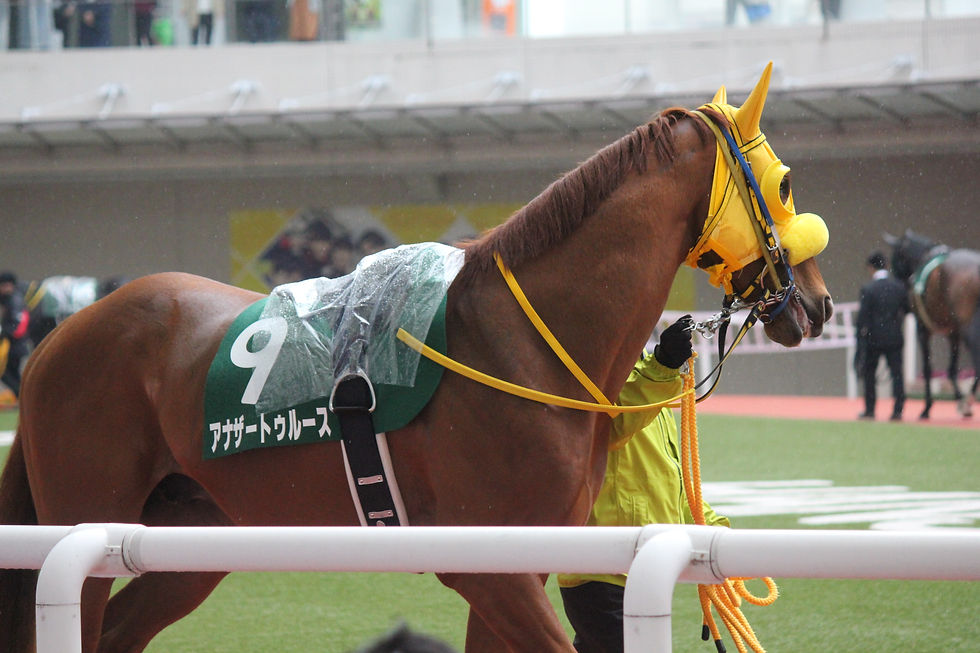 アナザートゥルース