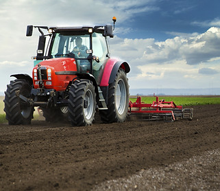 Red Tractor in Field