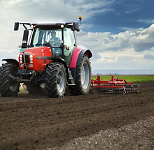 Red Tractor in Field