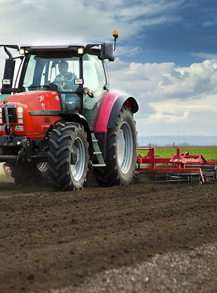 Red Tractor in Field