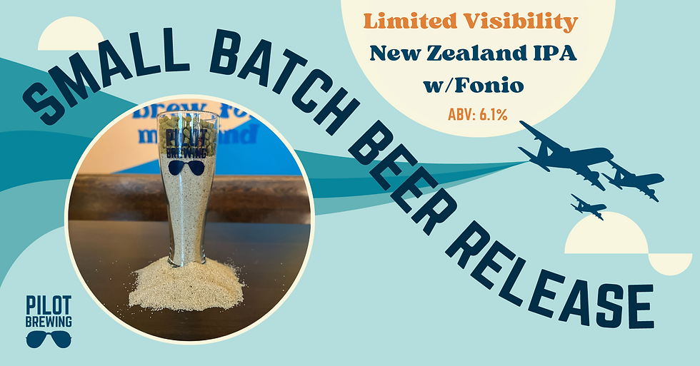 Co-Pilot Beer Release: Limited Visibility