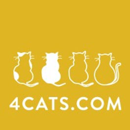 4 Cats Art Studios