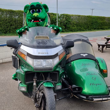 marvin on the goldwing