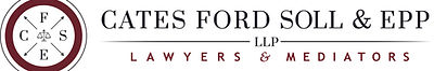 CFSE LOGO 2019 (1).jpg