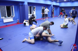 Единоборства