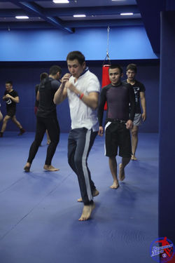 Единоборства