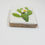 Miniaturbild: #cactus-24x28