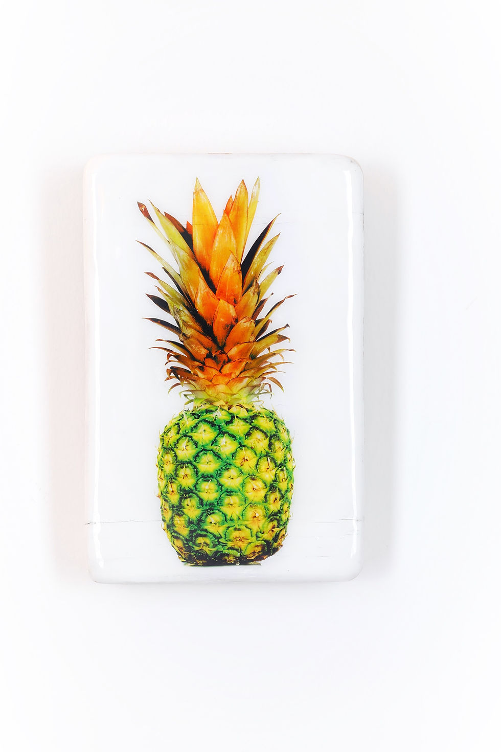 #pineapple-ogy-28x42