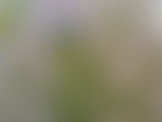 A gherkin with blue and purple hair and multiple tentacles holds a pen and a laptop