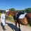Thumbnail: White GP/Jump Saddle Pad