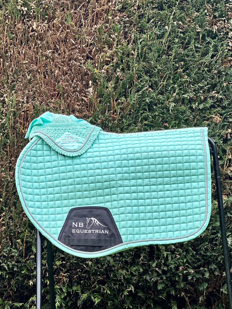 Thumbnail: NB Equestrian mint Fly hood