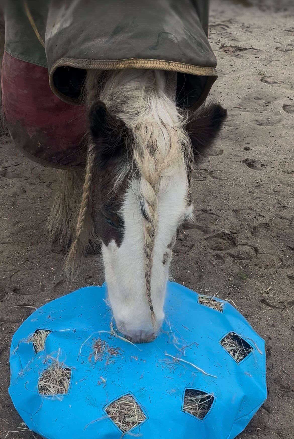 Pony Hay Cloud Cushion
