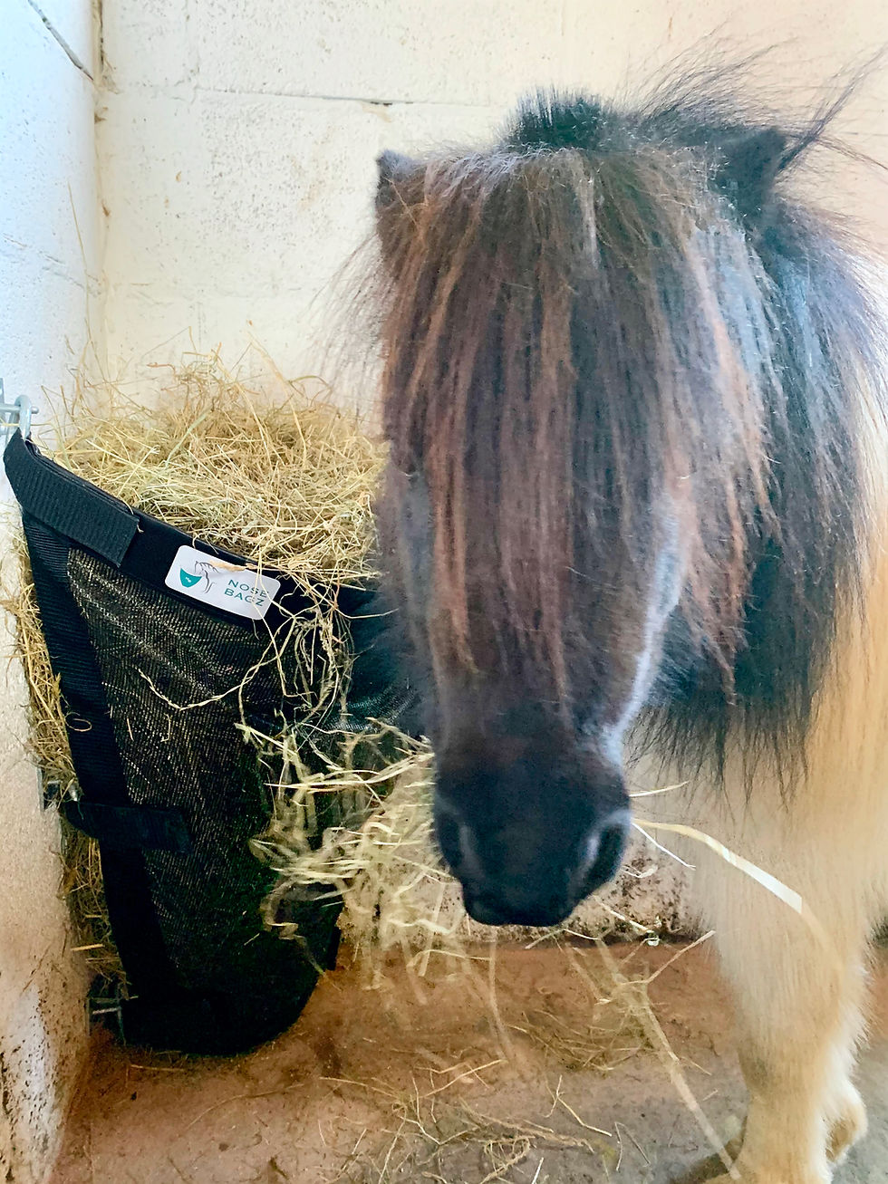 Thumbnail: Nose Bagz Extra Small Hay feeder