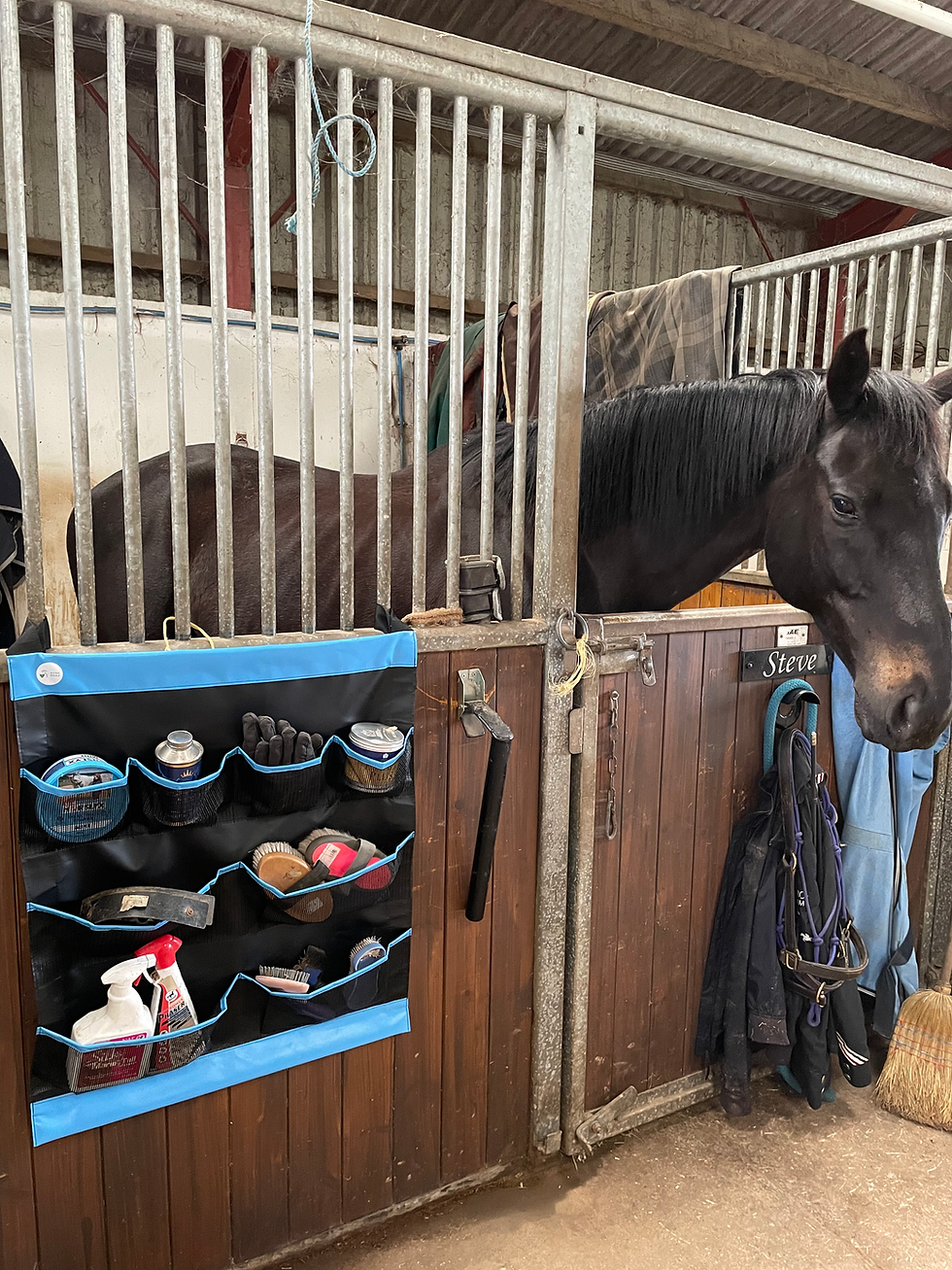 Thumbnail: Nose Bagz Stable Organiser