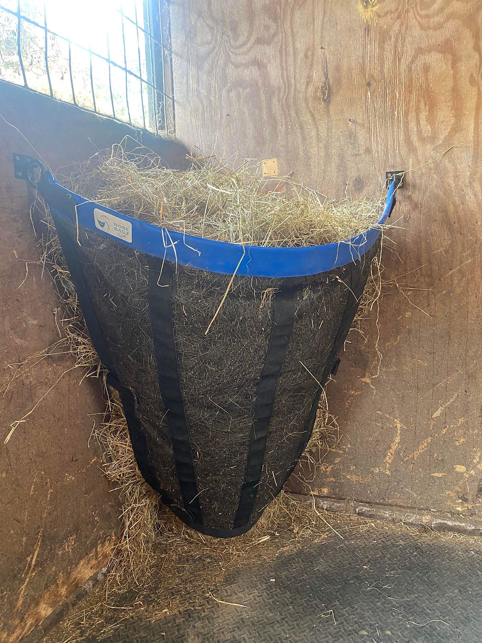 Horse Hay Feeder Nose Bagz Equestrian products Wales